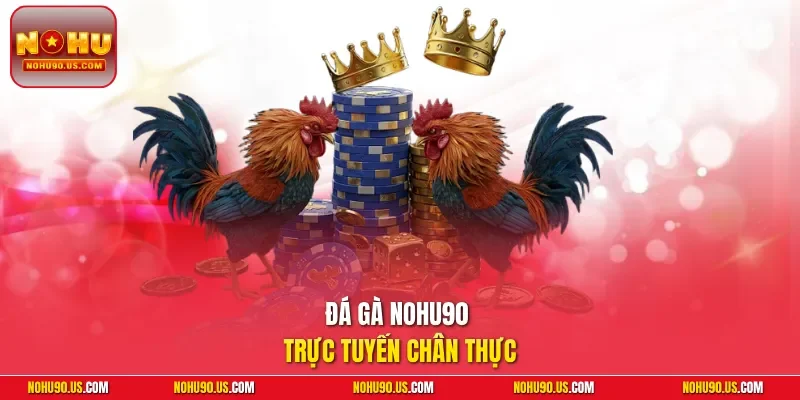 Đá gà NOHU90 trực tuyến chân thực