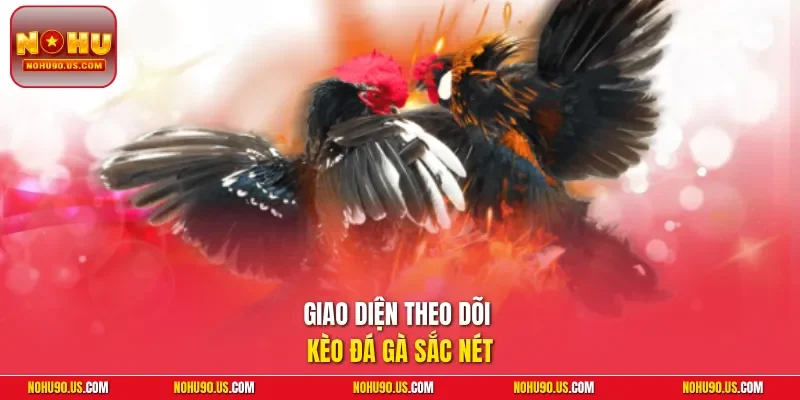 Giao diện theo dõi kèo đá gà sắc nét
